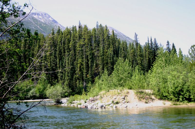 062104 Hyder Cassiar to Skagway Ak (10094)